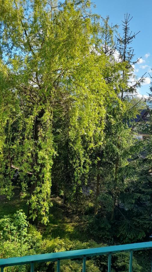 Apartment Wiesia2 *