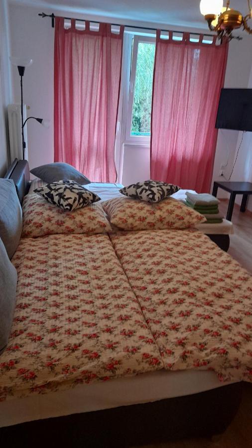 Wiesia2 Apartment